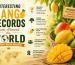 Interesting Mango Records from Around the World
