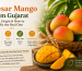 Kesar Mango from Gujarat: Taste, Origin & How to Identify the Real One