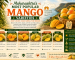 Maharashtra's Most Popular Mango Varieties
