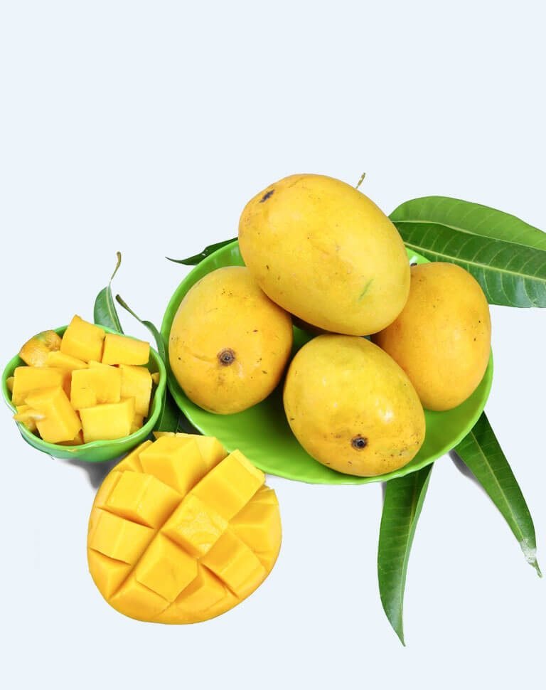 Natural Juicy Mangoes at Malda Mango in Noida