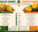 Malda Mango vs Chausa Mango
