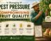 Managing Pest Pressure Without Compromising Fruit Quality