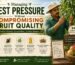 Managing Pest Pressure Without Compromising Fruit Quality