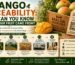 Mango Traceability: How Can You Know Where Your Fruit Came From?