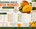 Nutritional Value of Fresh Mangoes: Complete Breakdown