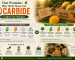 Our Promise: Why We'll Never Use Carbide to Ripen Our Mangoes