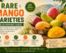 Rare Mango Varieties You May Never Have Heard Of
