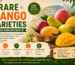 Rare Mango Varieties You May Never Have Heard Of