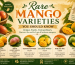 Rare Mango Varieties You Should Know