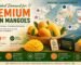 The Global Demand for Premium Indian Mangoes