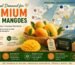 The Global Demand for Premium Indian Mangoes
