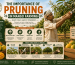 The Importance of Pruning in Mango Farming