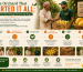 The Orchard That Started It All: How Our First Mango Partnership Began