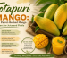 Totapuri Mango: The Parrot-Beaked Mango Perfect for Juice and Pickle