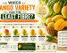 Which Mango Variety Has the Least Fibre?