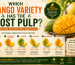 Which Mango Variety Has the Most Pulp?