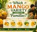 Which Mango Variety is Best for Families?