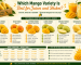 Which Mango Variety Is Best for Juices and Shakes?