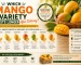 Which Mango Variety Lasts Longer After Delivery?