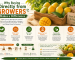 Why Buying Directly from Growers Makes a Difference