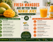 Why Fresh Mangoes Are Better Than Mango Juice