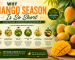 Why Mango Season Is So Short