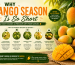 Why Mango Season Is So Short
