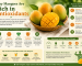 Why Mangoes Are Rich in Antioxidants