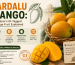 Zardalu Mango: Bhagalpur's GI-Tagged Heritage Fruit Explained